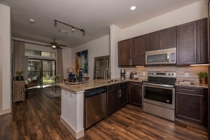 3 Bedroom Apartments for rent in Houston, Texas    